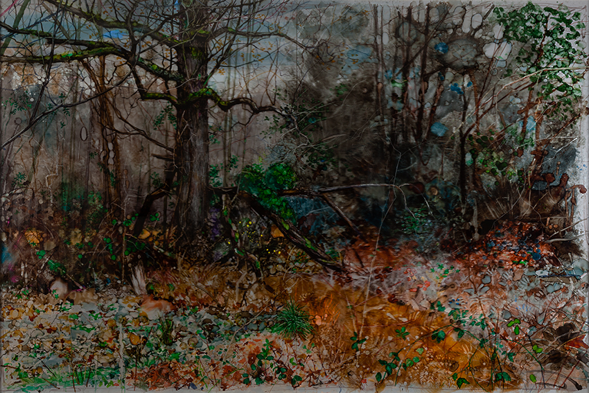 H Craig HANNA Sous-Bois 2016 