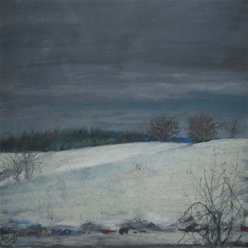 H Craig HANNA Neige 2014 