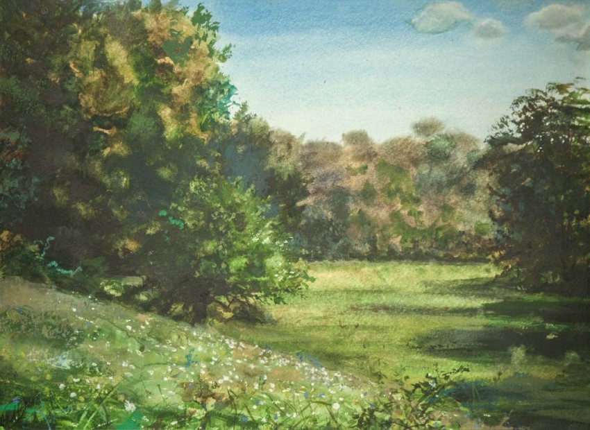 H Craig HANNA Pâquerettes 2014 