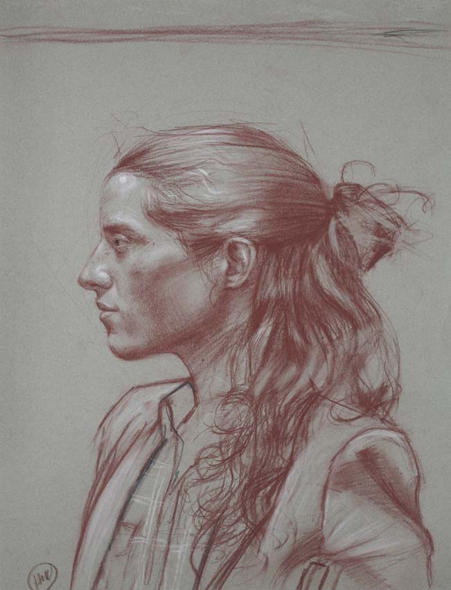 H Craig HANNA Red fox 2013 