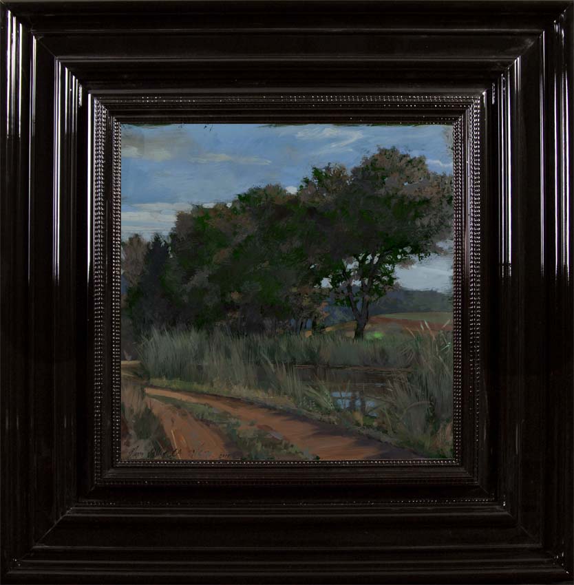 H Craig HANNA Country Side 2011 