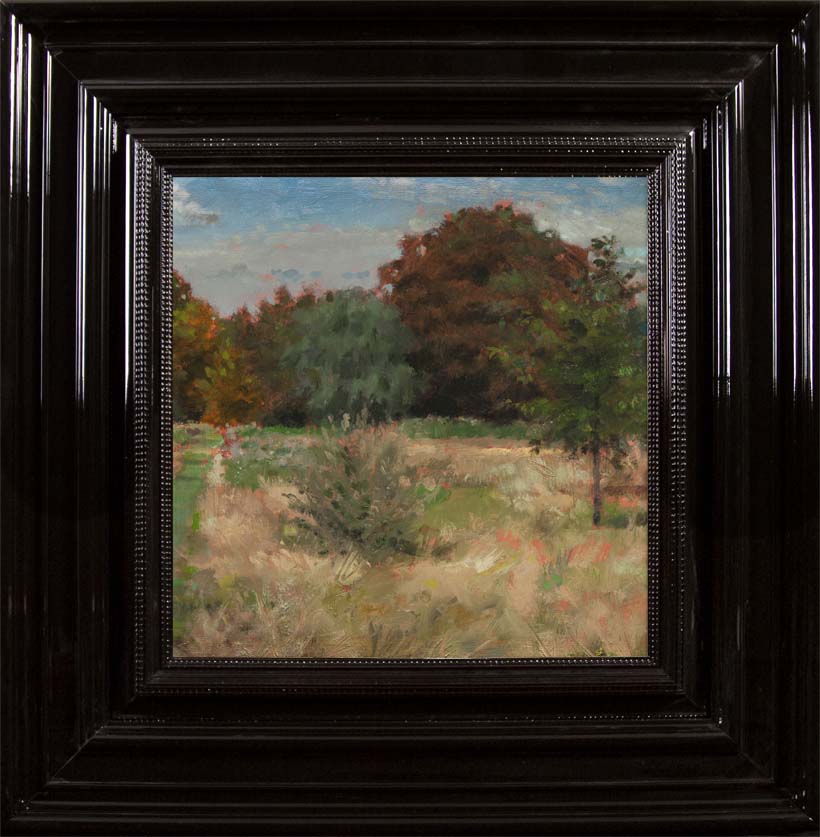 H Craig HANNA Field and Trees 2013 