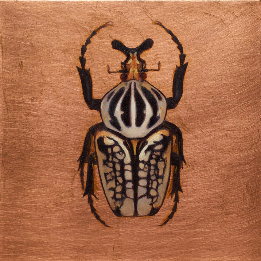 Kate Lehman Mr Goliath 2006 