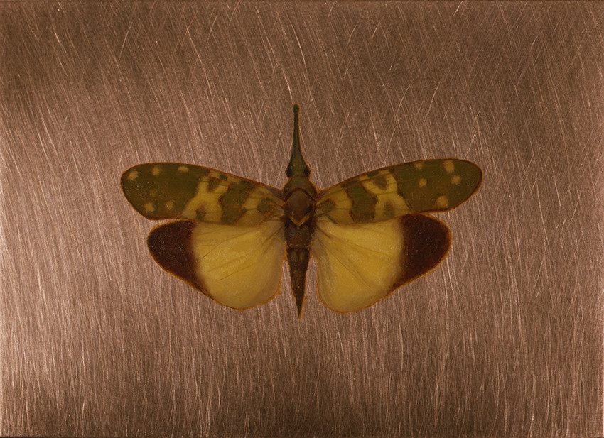 Kate Lehman Pyros 2006 