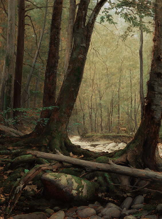 Travis Schlaht Forrest Interior 2017 