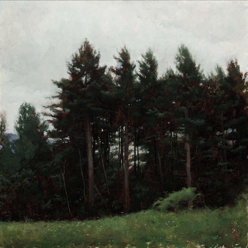 Travis Schlaht Trees 1 2008 