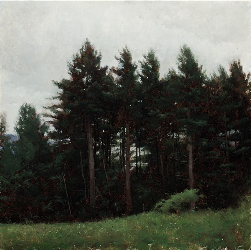 Travis Schlaht Trees 1 2008 