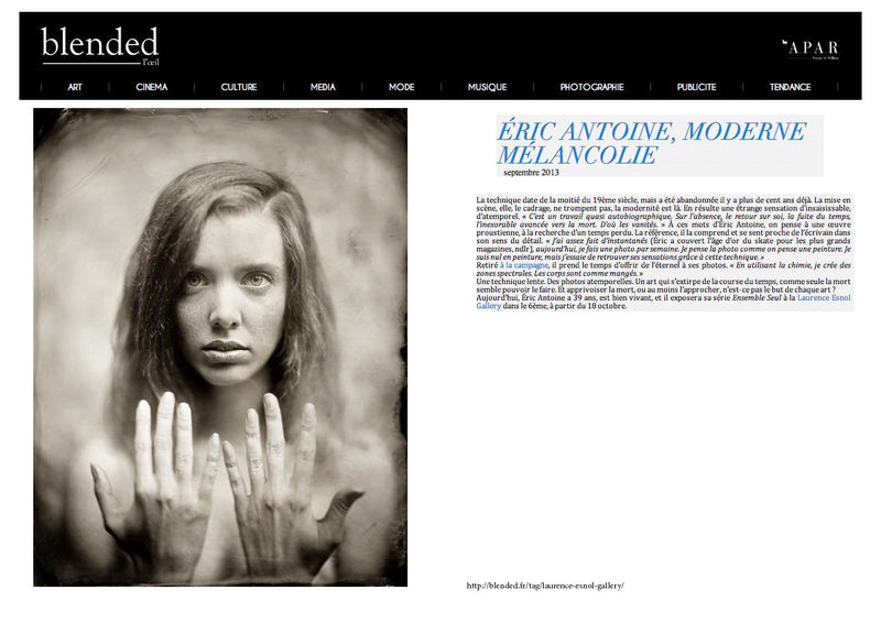 thumbnail of 2013-Blended