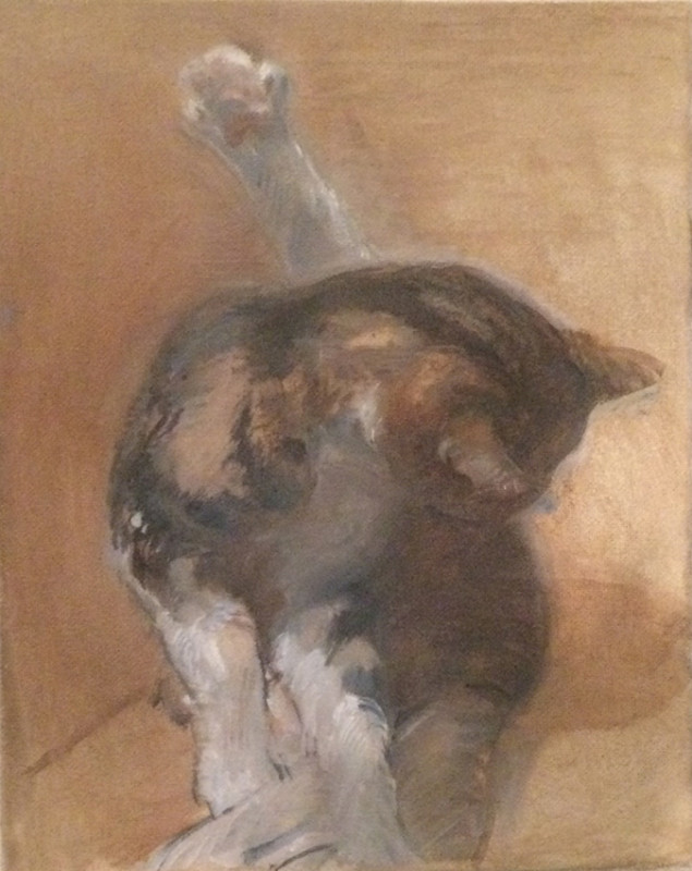 Dongni Hou Etude d'un Chat 2016 