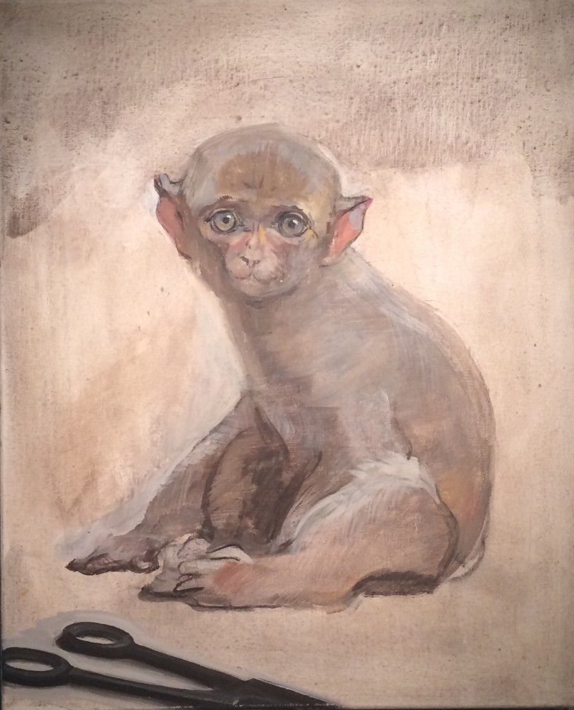 Dongni Hou Ouistiti aux Ciseaux 2 2016 