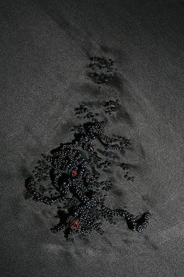 Julie de Pierrepont Grouillement 2011