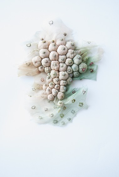 Julie de Pierrepont La Mère 2 2012