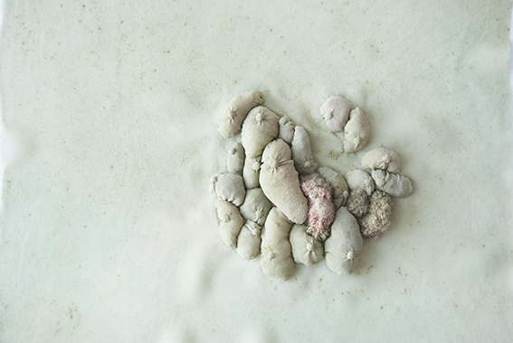 Julie de Pierrepont La mère Verte 2016