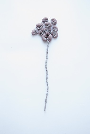 Julie de Pierrepont La Vieille Femme 2012