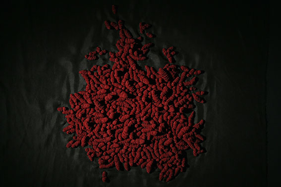 Julie de Pierrepont Les Orphelins 2 2011