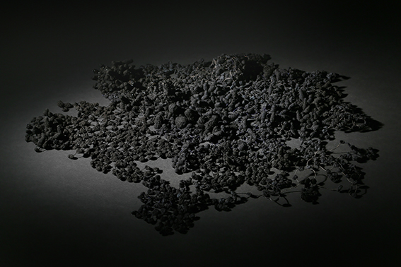 Julie de Pierrepont Les Orphelins 3 2011