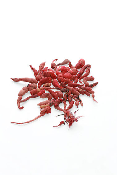 Julie de Pierrepont Naissance 2011