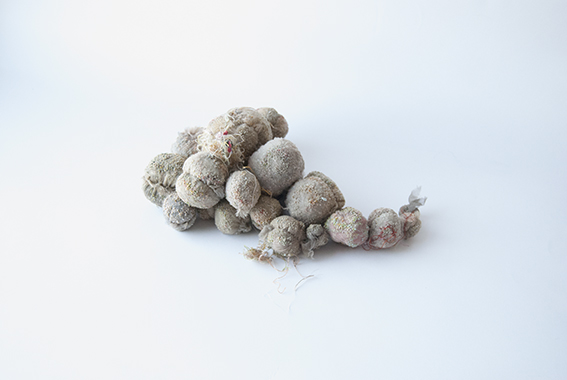 Julie de Pierrepont Pierres de Fées 1 2012