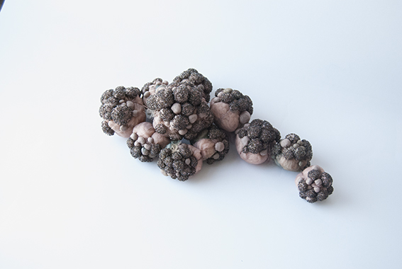 Julie de Pierrepont Pierres de Fées Noires 2016