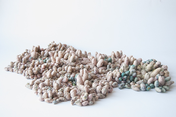 Julie de Pierrepont Trois Groupes de Jeunes Ames 2012