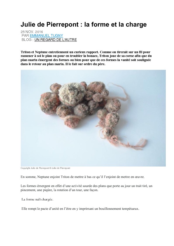 thumbnail of Julie de Pierrepont – La Forme et la Charge – Médiapart – 25-11-2016