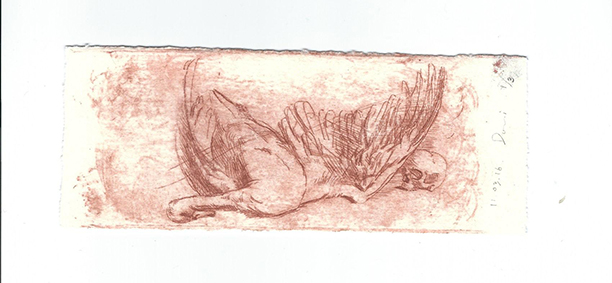 Dongni Hou Cygne au Crâne 1/3 2016 