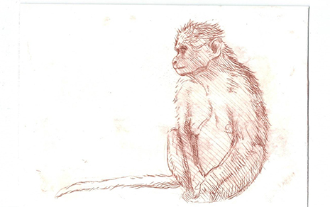 Dongni Hou Singe 1/4 2016 