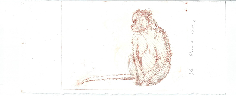 Dongni Hou Singe  2/4 2016 