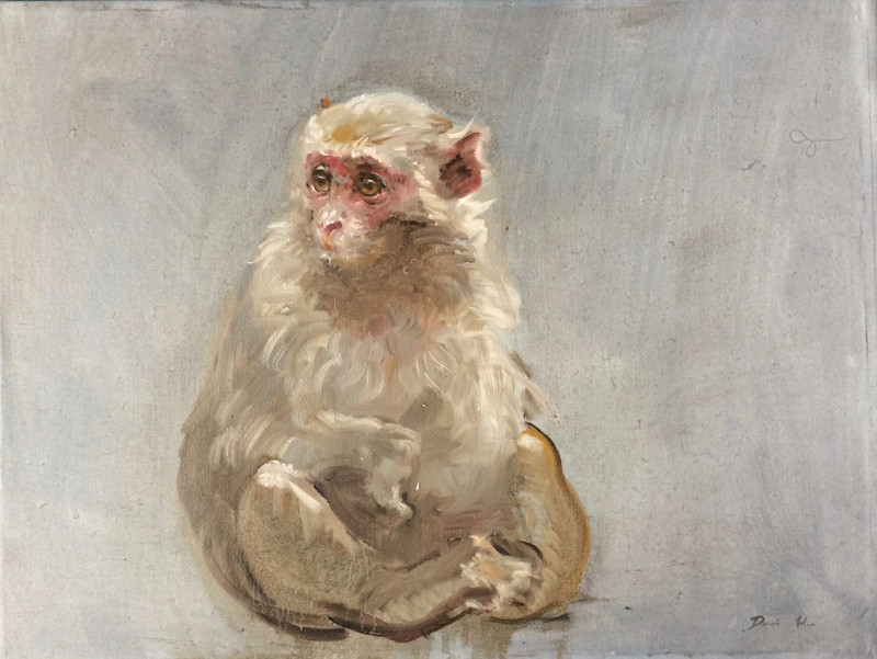 Dongni Hou Esseulé 2017 