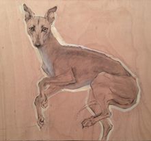 Dongni Hou Le Singulier Permanent 2017 