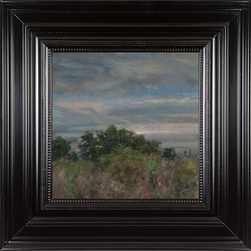 H Craig HANNA Buissons 2016 