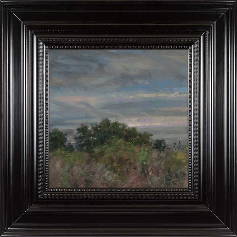 H Craig HANNA Buissons 2016 