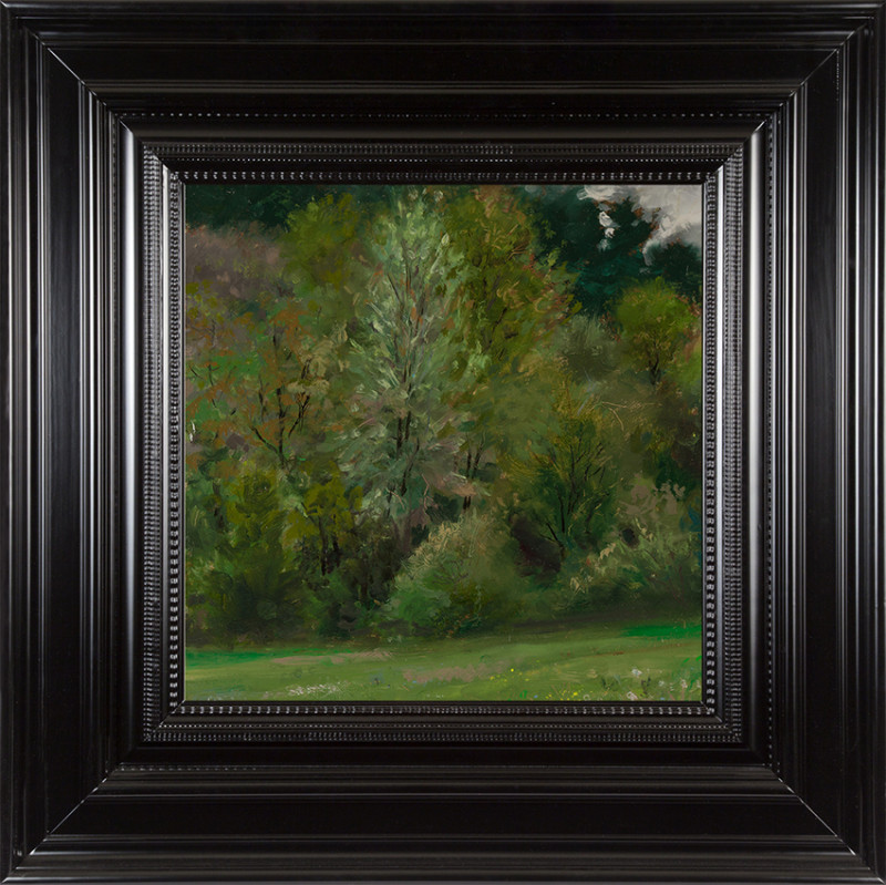 H Craig HANNA Un Pré 2016 