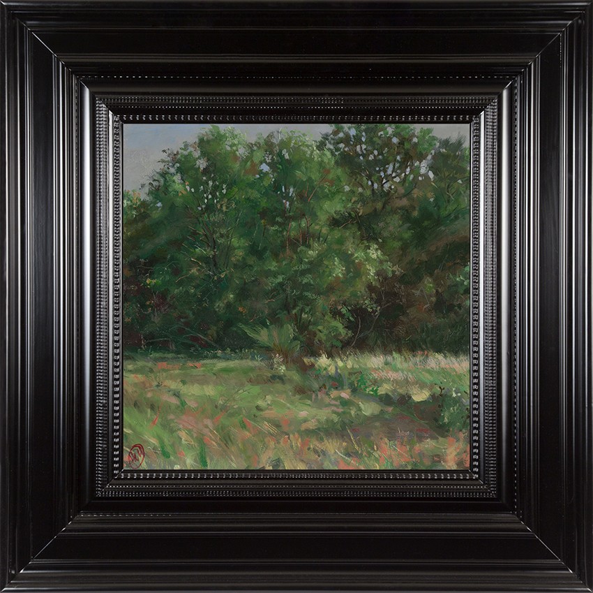 H Craig HANNA Vue du Luberon 1 2016 