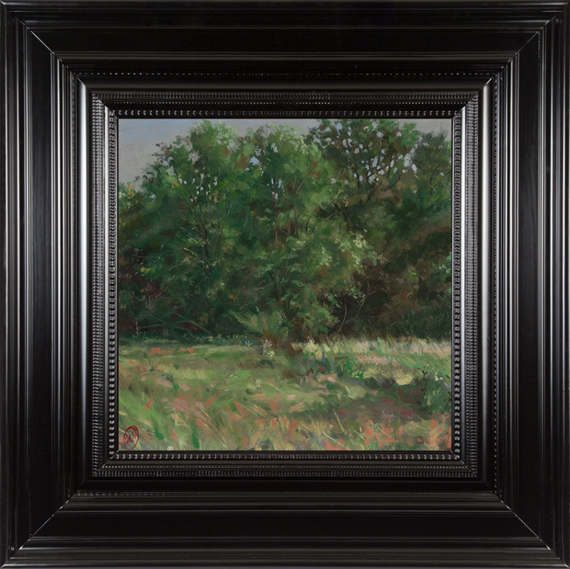 H Craig HANNA Vue du Luberon 1 2016 