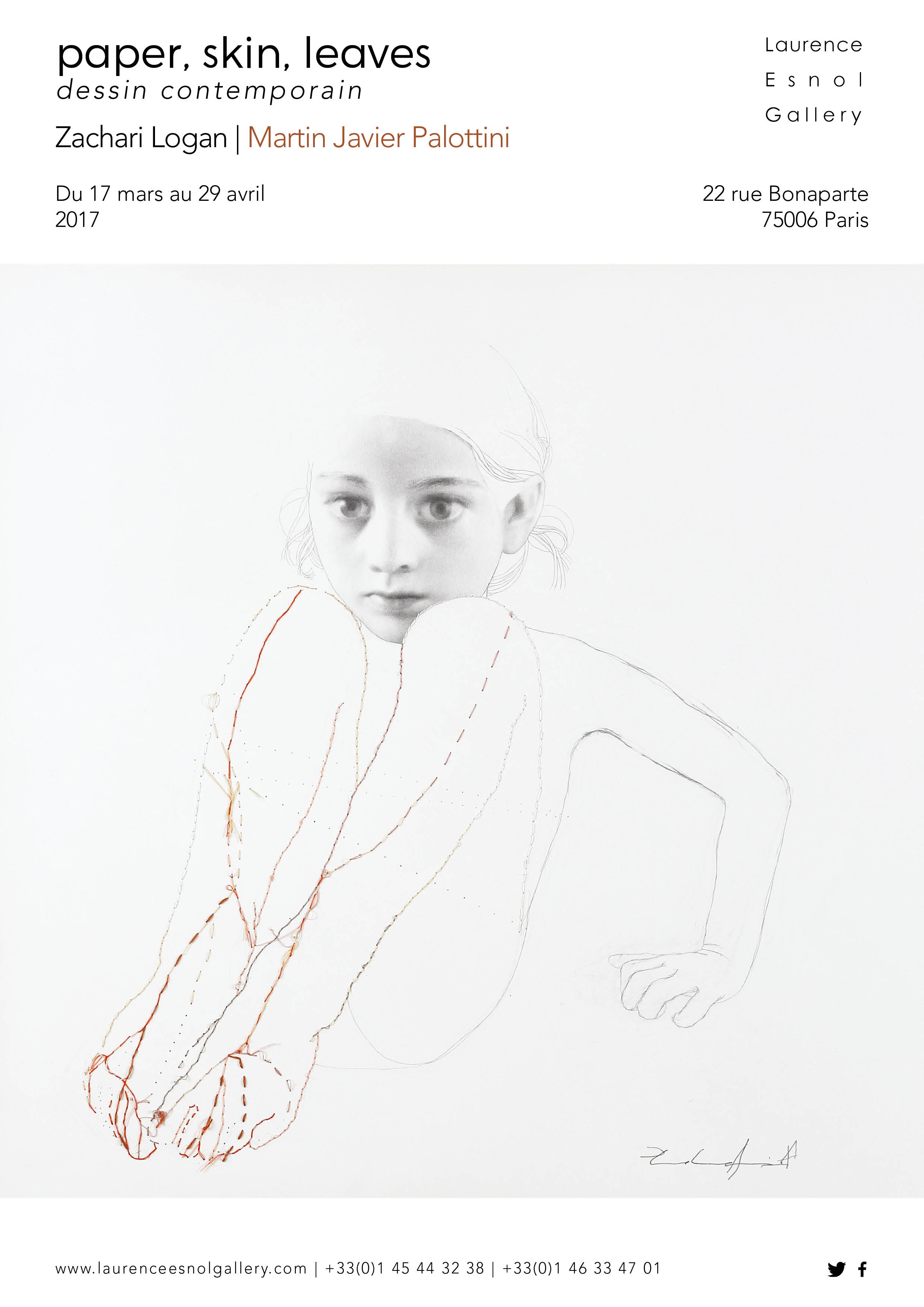 Martin Javier Palottinipaper, skin, leaves