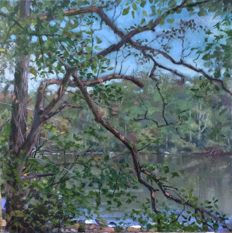 H Craig HANNAH. Craig HANNA - Paysages