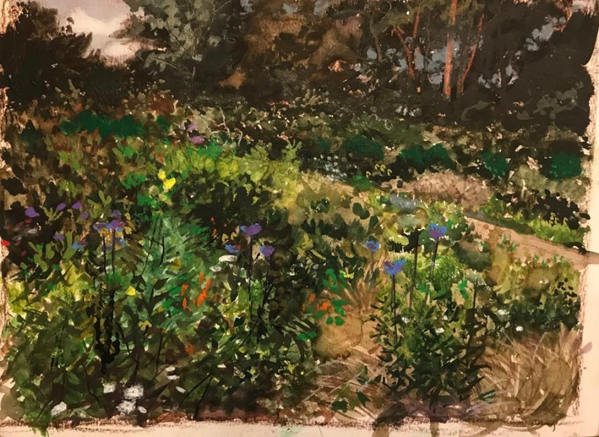 H Craig HANNA Study End of Summer 2017 