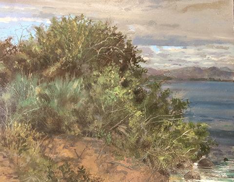 H Craig HANNA Buissons, Corse 2018 