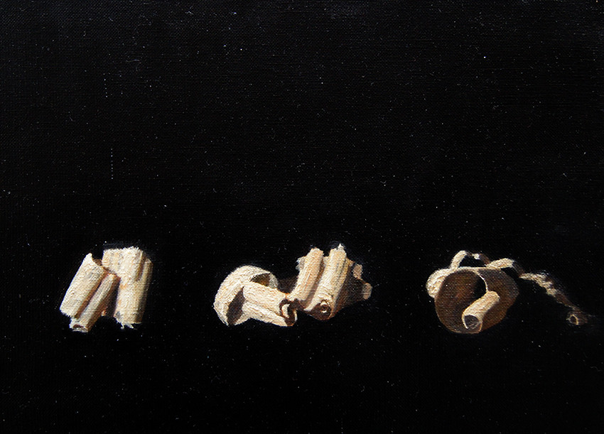 Adrien Eyraud Les Copeaux de bois 2018 