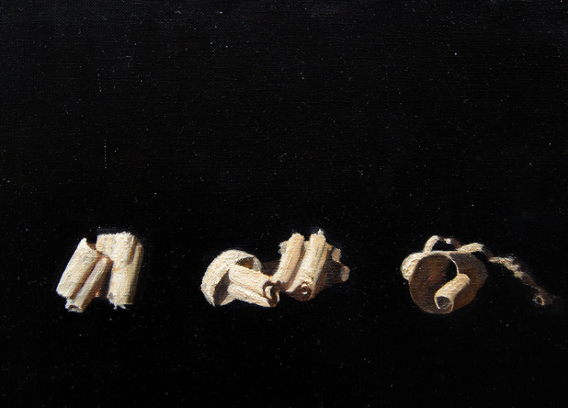 Adrien Eyraud Les Copeaux de bois 2018 