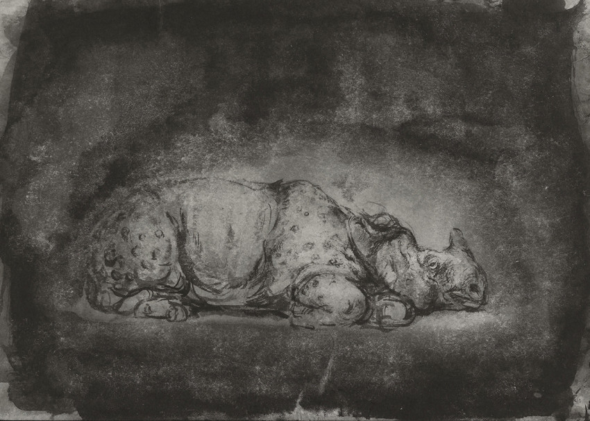 Ofer Josef Rhinoceros 2 2019 