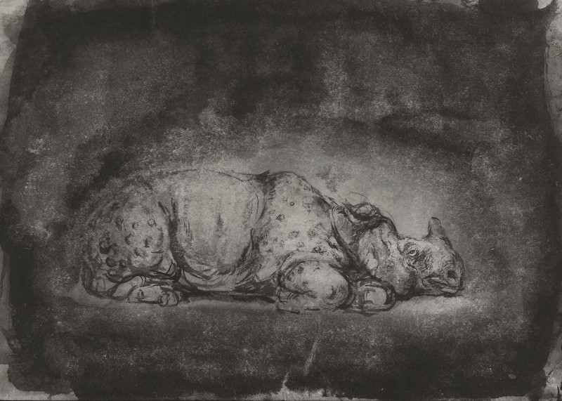 Ofer Josef Rhinoceros 2 2019 