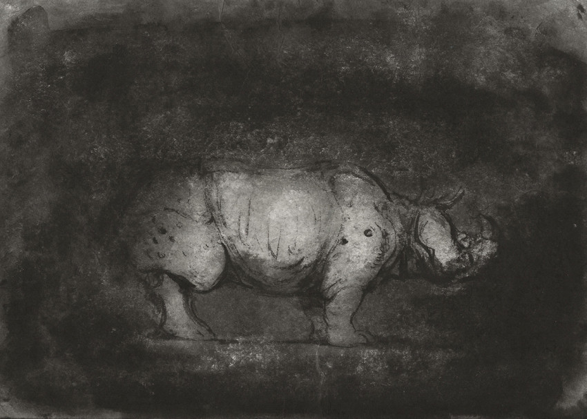 Ofer Josef Rhinoceros 3 2018 