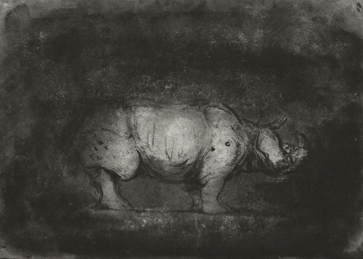 Ofer Josef Rhinoceros 3 2018 