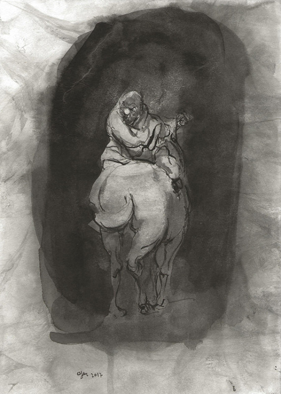 Ofer Josef Désirs Opposés 2017 