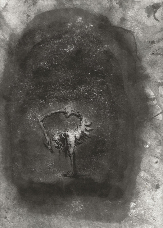 Ofer Josef Scorpion 2017 