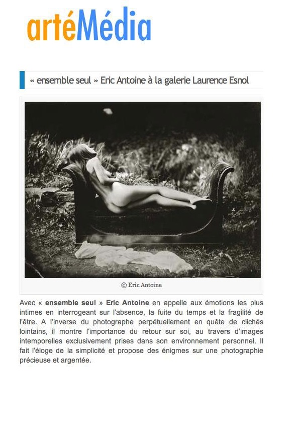 thumbnail of 2013-artémédia