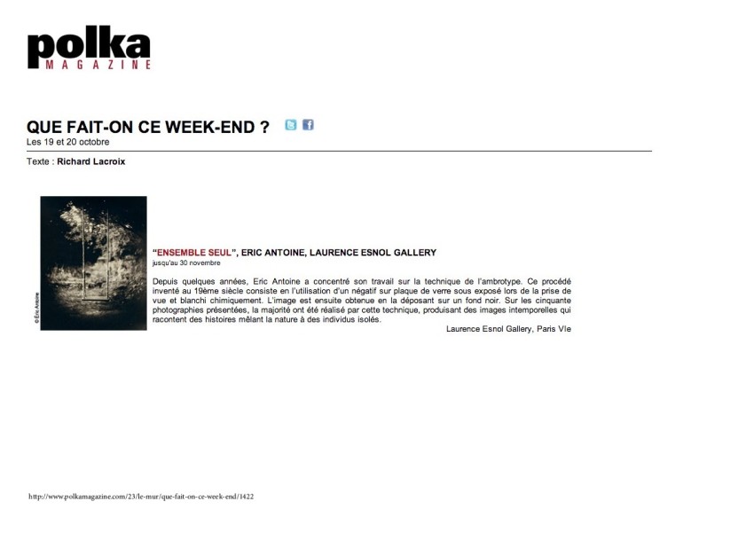 thumbnail of 2013-polka