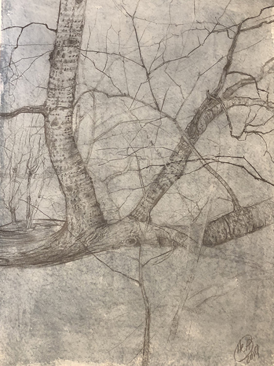 H Craig HANNA Etude des Arbres 2019 